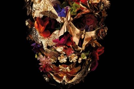 Mcqueen Afis Documentar